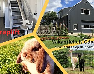 Unterkunft 173610 • Ferienhaus Midden Drenthe • Vakantiehuisje in Odoorn 