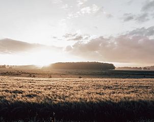 Adembenemend uitzicht op het Drentse landschap bij Vakantiehuis in Odoorn, perfect voor natuurliefhebbers.