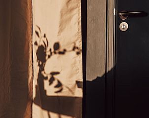 Zonlicht speelt met schaduwen in Vakantiehuis in Odoorn, Midden Drenthe, voor een serene ambiance.