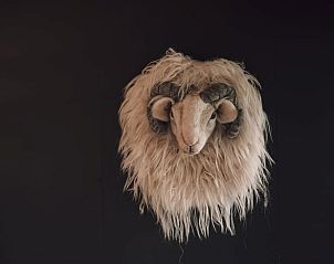 Decoratieve elementen in Vakantiehuis in Odoorn, Midden Drenthe, voor een unieke sfeer.