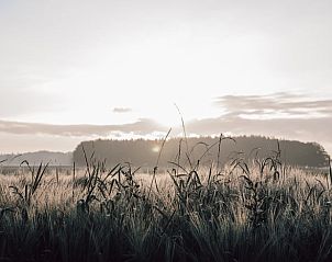 Veranda met uitzicht op de natuur bij Vakantiehuis in Odoorn, Midden Drenthe, ideaal voor ontspanning.