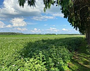 Adembenemend uitzicht op de natuur rondom Vakantiehuis in Odoorn, Drenthe.