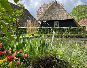 Guest house 173704 - Holiday property Midden Drenthe - Huisje in Garminge