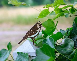 Guest house 173905 - Holiday property Midden Drenthe - Huisje in Nieuw Balinge