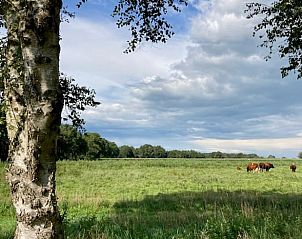 Guest house 173905 - Holiday property Midden Drenthe - Huisje in Nieuw Balinge