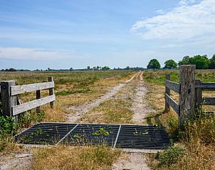 Guest house 173905 - Holiday property Midden Drenthe - Huisje in Nieuw Balinge