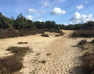 Guest house 173905 - Holiday property Midden Drenthe - Huisje in Nieuw Balinge