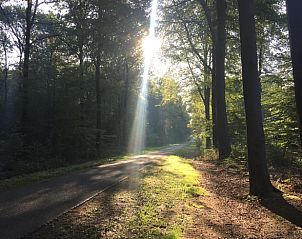 Guest house 173906 - Holiday property Midden Drenthe - Huisje in Nieuw Balinge