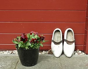 Guest house 173907 - Holiday property Midden Drenthe - Vakantiehuisje in Nieuw Balinge