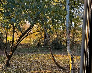 Unterkunft 173908 - Ferienhaus Midden Drenthe - Huisje in Nieuw Balinge
