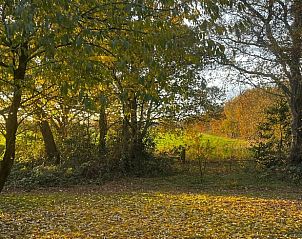Unterkunft 173908 - Ferienhaus Midden Drenthe - Huisje in Nieuw Balinge