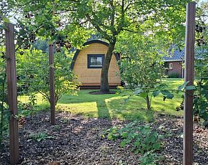 Guest house 174008 - Holiday property Midden Drenthe - Vakantiehuis in Westdorp