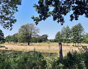 Guest house 174401 - Holiday property Midden Drenthe - Huisje in Wezup