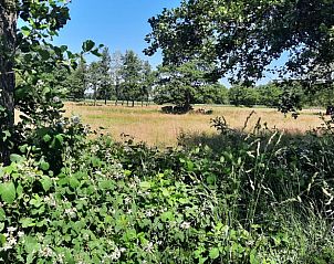 Prachtige natuur rondom Vakantiehuisje in Wezup, met weelderige groene velden in Drenthe.