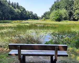 Vijver met bankje in de buurt van Vakantiehuisje in Wezup, ideaal voor ontspanning in Drenthe.