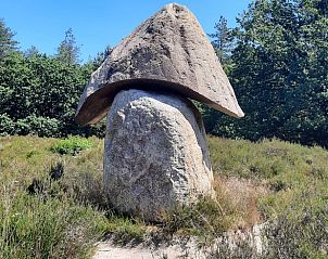 Unieke zwerfsteen in de buurt van Vakantiehuisje in Wezup, perfect voor natuurliefhebbers in Drenthe.