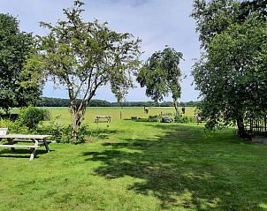 Ruim grasveld bij Vakantiehuisje in Wezup, perfect voor recreatie in Midden Drenthe.