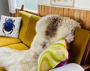 Prachtig uitzicht op de natuur vanuit Vakantiehuisje in Wezup, Midden Drenthe.