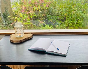 Bospad en omringende natuur bij Vakantiehuisje in Wezup, Midden Drenthe.