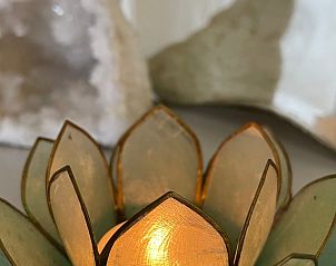 Bloemrijke tafelsetting in Vakantiehuisje in Wezup, Midden Drenthe, voor een gezellige sfeer.