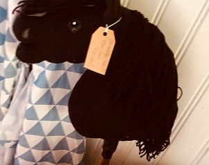 Guest house 174601 - Holiday property Midden Drenthe - Huisje in Zuidveld