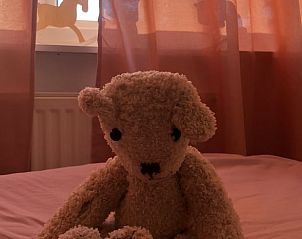 Guest house 174601 - Holiday property Midden Drenthe - Huisje in Zuidveld