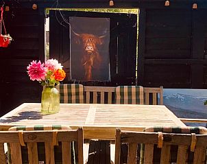 Guest house 174602 - Holiday property Midden Drenthe - Vakantiehuisje in Zuidveld