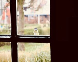 Guest house 174602 - Holiday property Midden Drenthe - Vakantiehuisje in Zuidveld