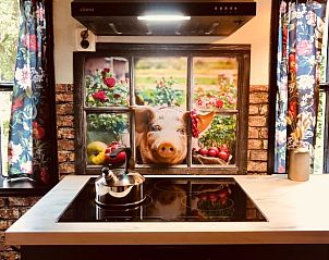 Guest house 174602 - Holiday property Midden Drenthe - Vakantiehuisje in Zuidveld