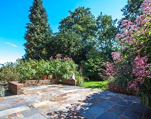 Zonnig terras met kleurrijke bloemen bij Vakantiehuis in Peize, Noord Drenthe.