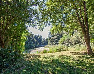 Schaduwrijke bosrijke omgeving rondom Vakantiehuis in Peize, Noord Drenthe.