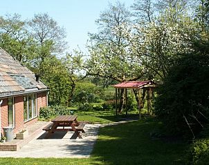 Buitenruimte van Huisje in Peize, Noord Drenthe, met terras en uitzicht op groene omgeving.