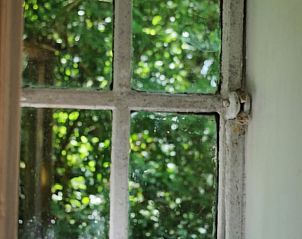 Authentiek raam met uitzicht op natuur bij Huisje in Peize, Noord Drenthe.