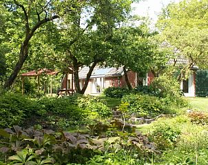 Weelderige tuin van Huisje in Peize, Noord Drenthe, met bomen en zitgelegenheid.