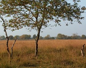 Uitgestrekte natuur rondom Huisje in Peize, Noord Drenthe, met grasland en bomen.