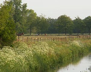 Landelijk uitzicht met paarden nabij Huisje in Peize, Noord Drenthe.