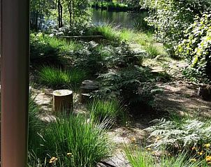 Natuurlijke omgeving van Huisje in Een, vakantiehuis in Noord Drenthe, met weelderige begroeiing en bosrijke sfeer.