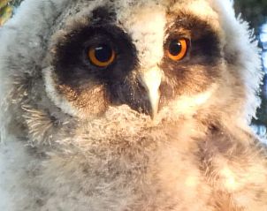 Verblijf 180202 - Vakantiewoning Noord Drenthe - Huisje in Een