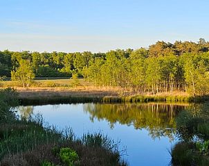 Vijver in de buurt van Huisje in Een, een vakantiehuis in Noord Drenthe, omgeven door groene natuur.