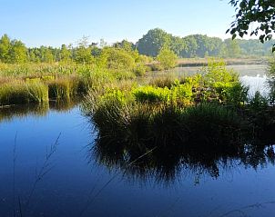 Natuurlijke omgeving van Huisje in Een, een vakantiehuis in Noord Drenthe, met water en groen.