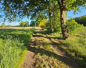 Landelijk pad in de buurt van Huisje in Een, een vakantiehuis in Noord Drenthe, omgeven door velden.