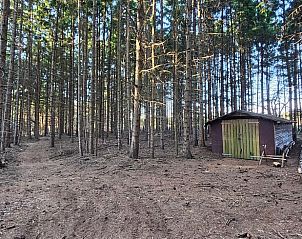 Schuur in het bos bij Huisje in Een, een vakantiehuis in Noord Drenthe.