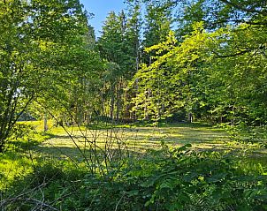 Open plek in het bos bij Huisje in Een, een vakantiehuis in Noord Drenthe.