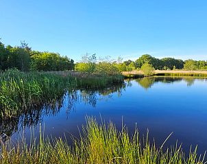 Rustgevende vijver bij Huisje in Een, een vakantiehuis in Noord Drenthe, omringd door riet.