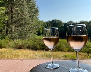 Twee glazen wijn op het terras van Huisje in Een, Drenthe met uitzicht op de natuur.