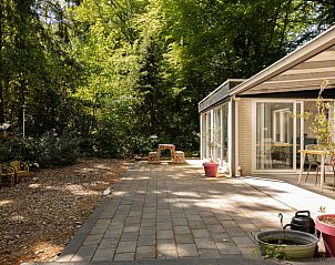 Grote patio van Vakantiehuis in Een, Noord Drenthe, met uitzicht op bos.