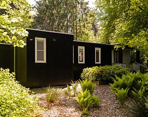 Vakantiehuis in Een, Noord Drenthe, met weelderige groene tuin.