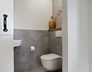 Stijlvolle badkamer in Vakantiehuis in Een, Drenthe, met modern sanitair en decoratieve vaas.