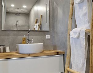 Badkamer in Vakantiehuis in Een, Noord Drenthe, met stijlvolle wastafel en houten details.