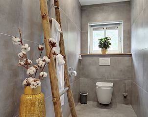 Stijlvol ingerichte toiletruimte in Vakantiehuisje in Een, Noord Drenthe, met houten ladder en planten.